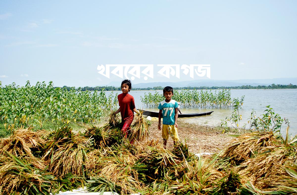 ডিএনসিসি ডেডিকেটেড কোভিড-১৯ হাসপাতাল